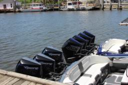 2025 05 01 Tickfaw 200 Thursday (1026).JPG